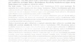 2024-cü il üzrə “ATENA” MMC-nin Maliyyə Hesabatları üzrə Auditor Rəyi